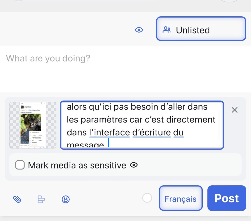 C’est beaucoup plus simple d’insérer le texte alternatif car comme on le voit sur l’image, le texte alternatif est à insérer en premier lieu dans l’interface utilisateur et non pas dans une obscure option de paramètres avancés cachés dix clics plus tard. Moins de friction et de fraction de l’attention.   ​